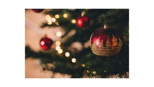 December 22 Newsletter