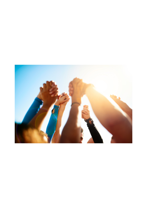 August 2026 Newsletter