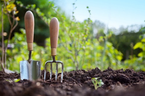 DIY & Gardening Help